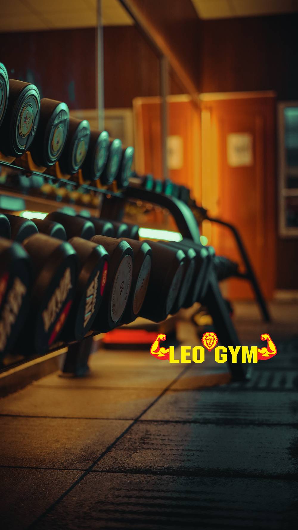 leo gym 2