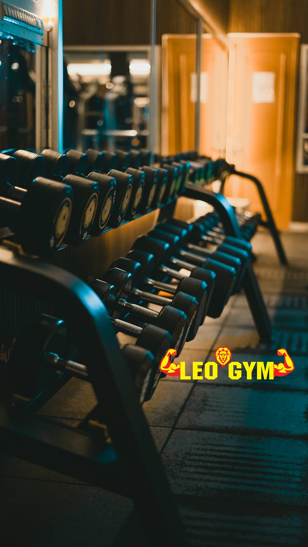 leogym3