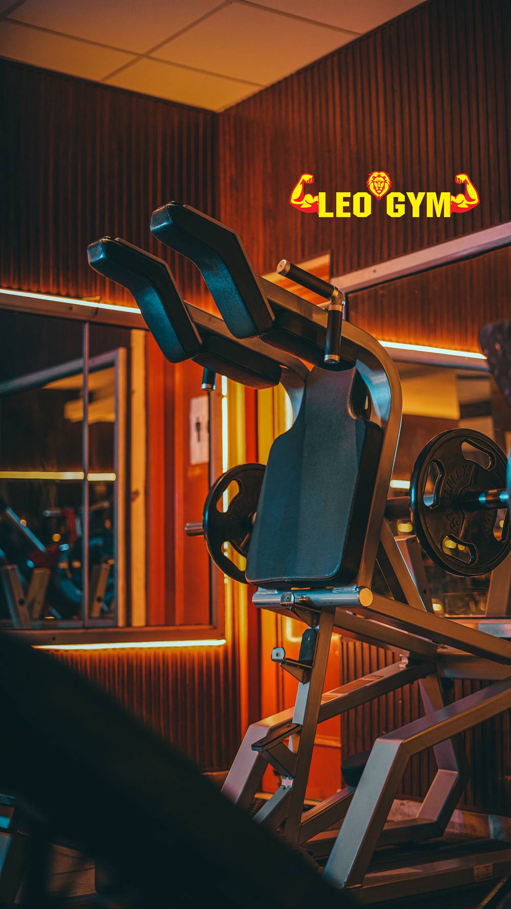 leogym4
